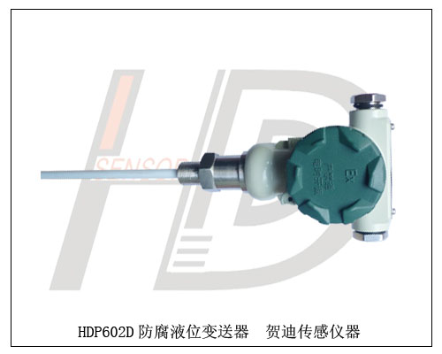 HDP602D電容式直桿液位變送器