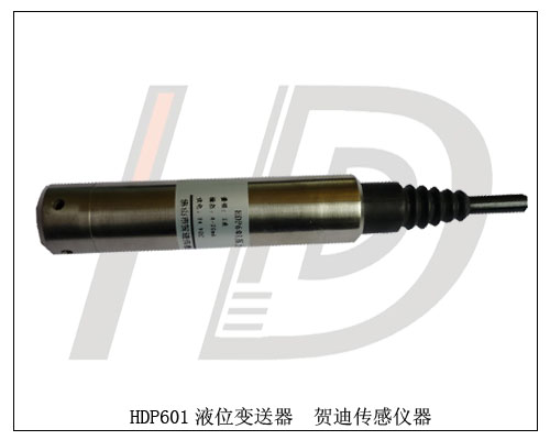 熱門(mén)銷(xiāo)售游泳場(chǎng)水深測量HDP601投入式液位變送器